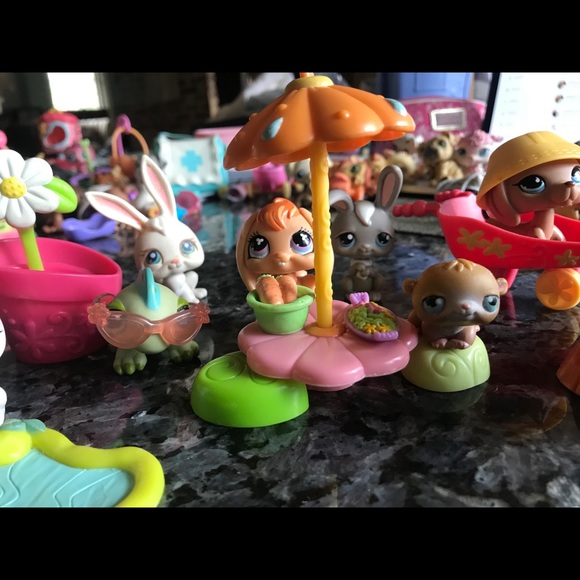 Littlest Pet Shops! - Picture 16 of 16